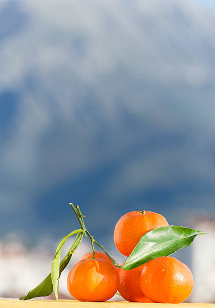 istock Vertical shot of a tangerine pile 453141295