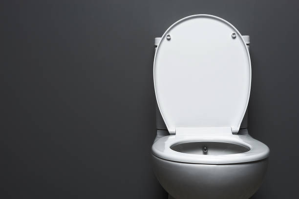 Toilet Plain white toilet on grey background. public restroom stock pictures, royalty-free photos & images