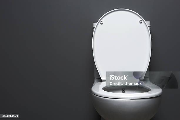 Toilet Stock Photo - Download Image Now - Toilet, Toilet Bowl, Public Restroom
