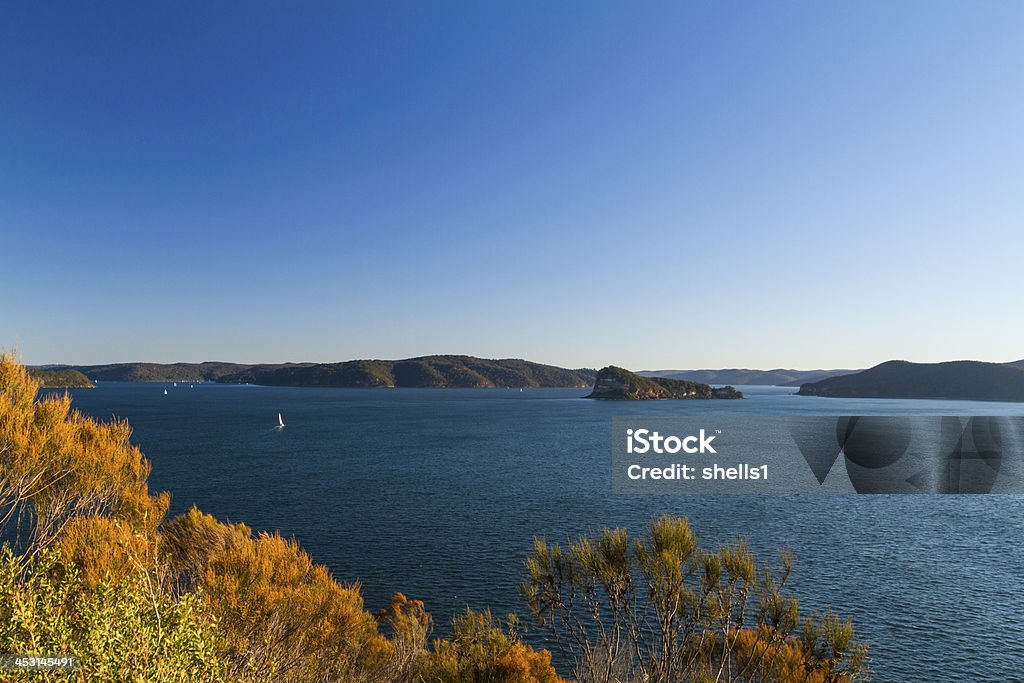 Lion Island - Lizenzfrei Australien Stock-Foto