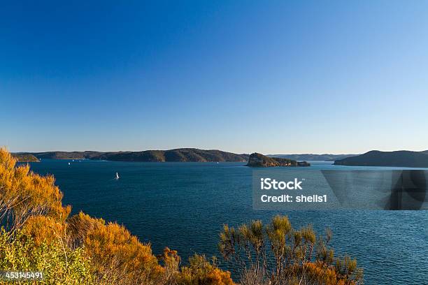 Lion Island Stockfoto und mehr Bilder von Australien - Australien, Baum, Bundesstaat New South Wales