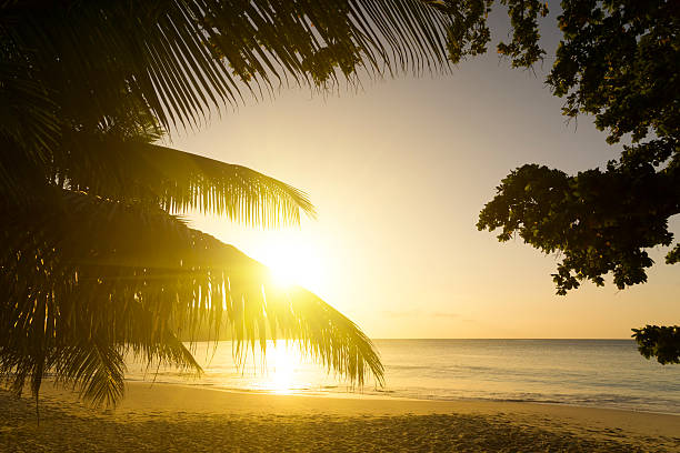 istock Mahe island, Seychelles. Sunset beach. Palms. 453147363