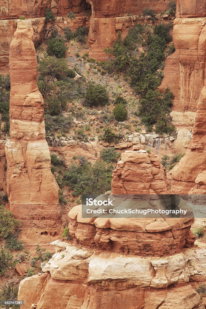 Red Rock Erodowany Hoodoo grupy - Zbiór zdjęć royalty-free (Australijski Outback)