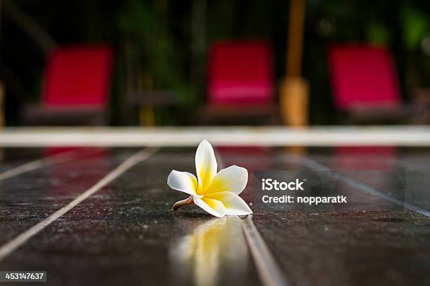 Beautyful Plumeria On The Ground Stock Photo - Download Image Now - Bali, Beauty, Beauty In Nature