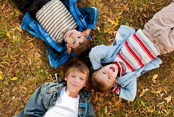 istock Overhead view of boys lying on grass with leaves 453148437