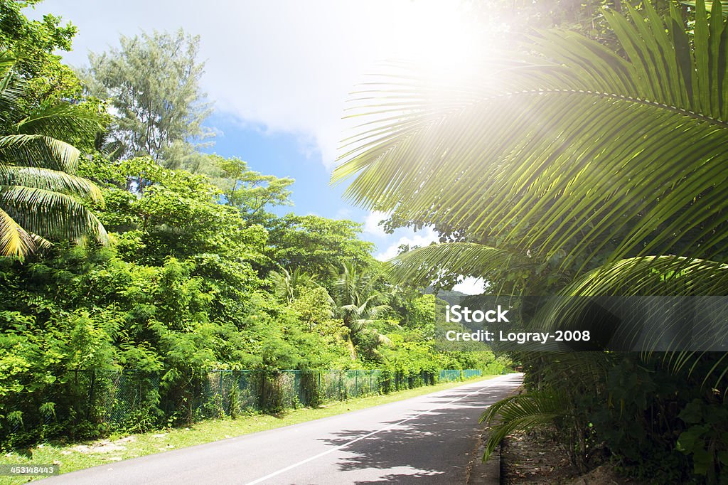 La Digue, Seyshelles. Road im grünen Dschungel. - Lizenzfrei Abenteuer Stock-Foto