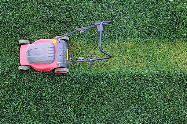 istock Lawn mower cutting lanes in the lawn 453149569