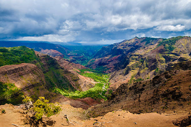 supervisionar parque estatal de waimea canyon, kauai, havaí, eua - waimea canyon state park imagens e fotografias de stock