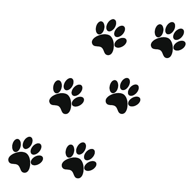Cartoon Dog Paw Print Pictures Illustrations, Royalty-Free Vector Graphics  & Clip Art - iStock
