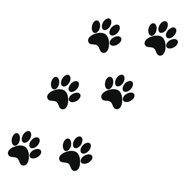 Cartoon Dog Paw Print Pictures Illustrations, Royalty-Free Vector Graphics & Clip Art - iStock Cartoon Dog Paw Print Pictures Illustrations, Royalty-Free Vector Graphics & Clip Art - iStock