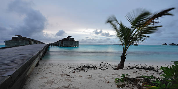 전에 썬라이즈 몰티브 - hut maldives beach hut jetty 뉴스 사진 이미지