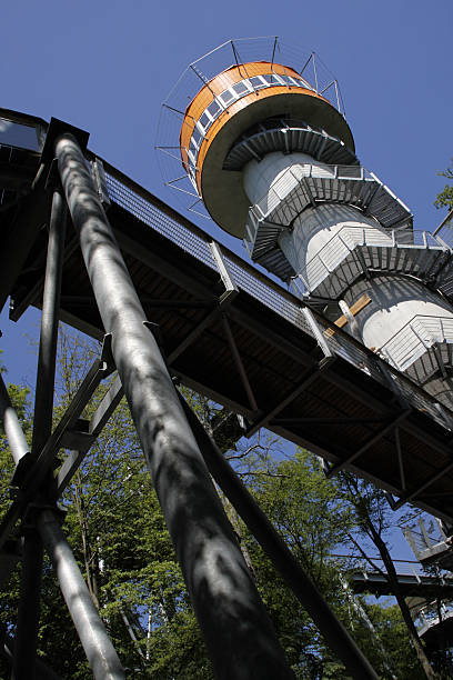 istock Treetop path in the national park Hainich 453162749