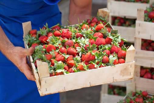 A greengrocer holding box full of fresh strawberries