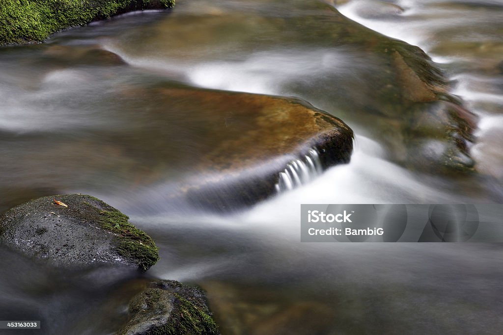 Rivière - Photo de Beauté de la nature libre de droits