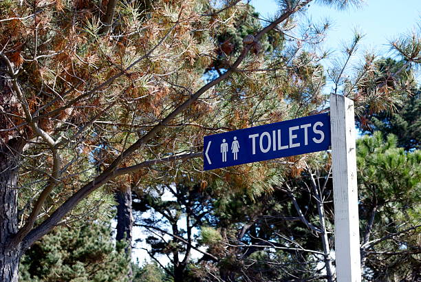 istock Toilet Sign 453167869