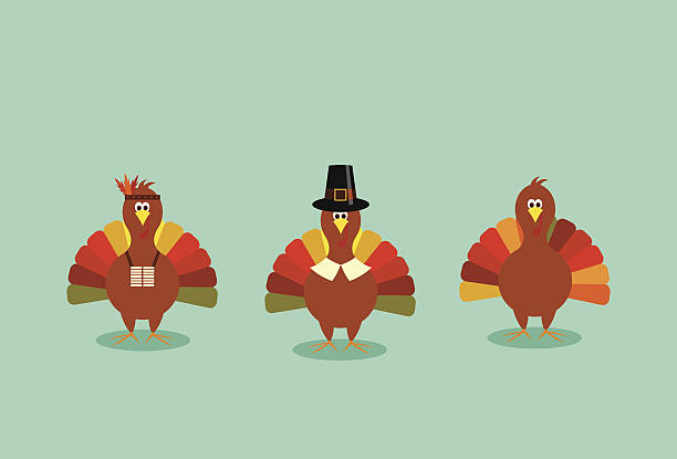 illustrations, cliparts, dessins animés et icônes de trio de dinde de thanksgiving - indien dinde
