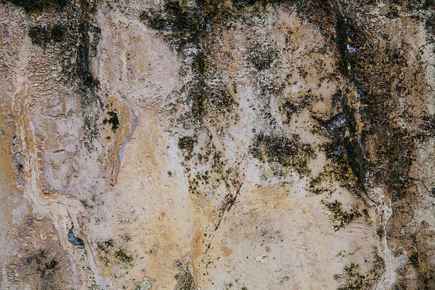 istock cracked concrete vintage wa.ll background,old wall, brick 453170297