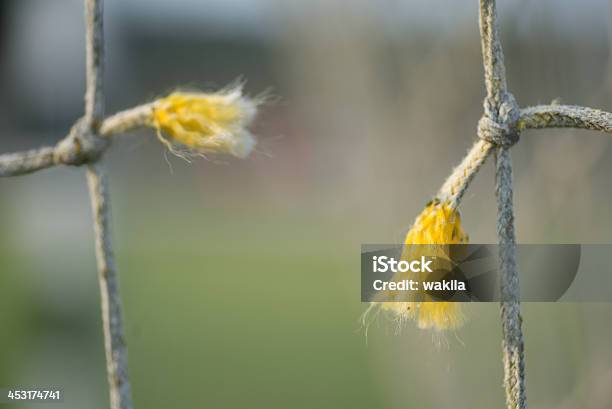 Foto de Quebradoperda De Conexão De Rede e mais fotos de stock de Corda - Corda, Amarelo, Esfiapado