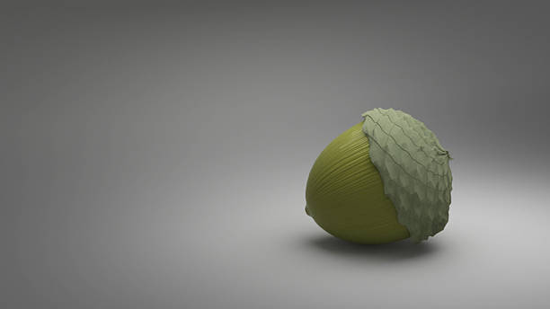 istock Illustration of an acorn 453175199