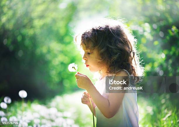 Summer Joy Stock Photo - Download Image Now - Activity, Beauty, Beauty In Nature