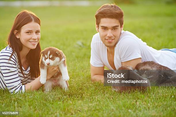 Photo libre de droit de Couple De Chiots banque d'images et plus d'images libres de droit de 20-24 ans - 20-24 ans, Adulte, Allongé sur le devant