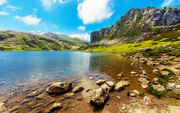 lago ercina covadonga - covadonga foto e immagini stock