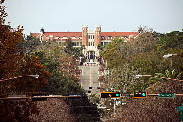 florida state university - florida state foto e immagini stock