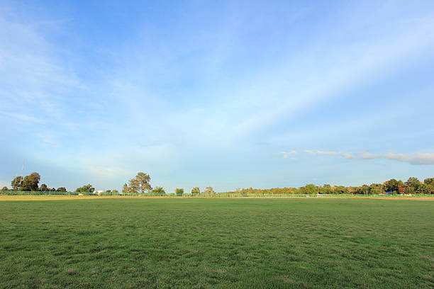 istock Soccer or football field 453180035