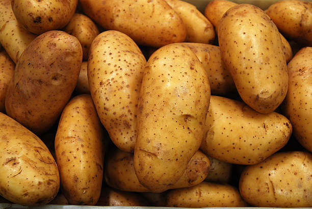istock Potato at a market 453181573
