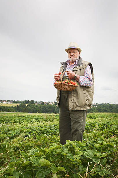 istock Senior in Strawberry Field 453182081