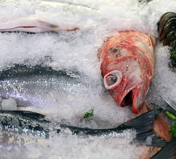 istock Fresh fish on ice at Pike Place Market, Seattle, Washington. 453182195