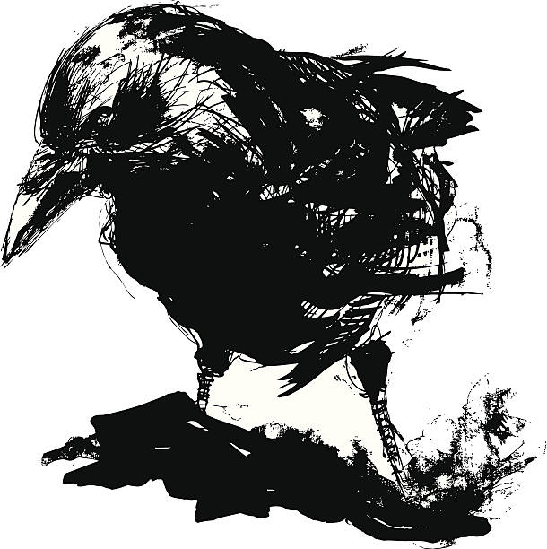 illustrations, cliparts, dessins animés et icônes de black crow - encre illustrations