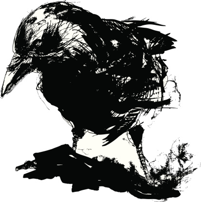istock Black crow 453185629