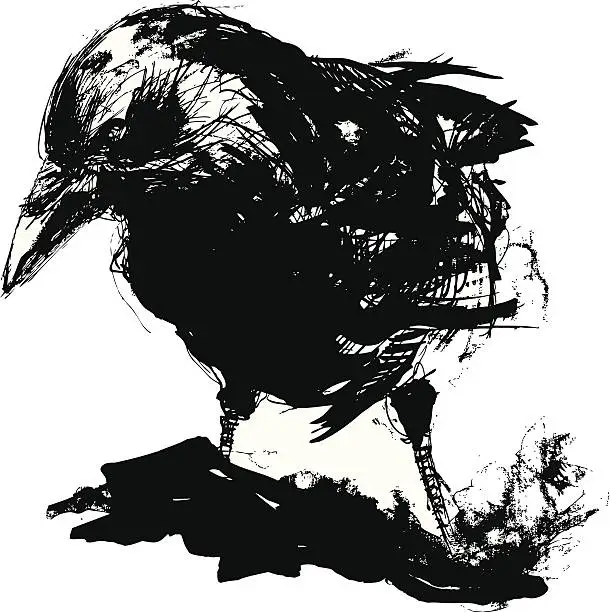 Vector illustration of Black crow