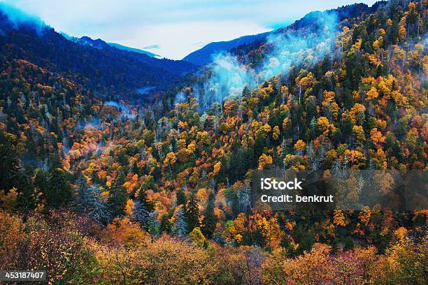 Photo libre de droit de Matin Dans Les Smoky Mountains Des Arbres Colorés banque d'images et plus d'images libres de droit de Arbre - Arbre, Automne, Brouillard