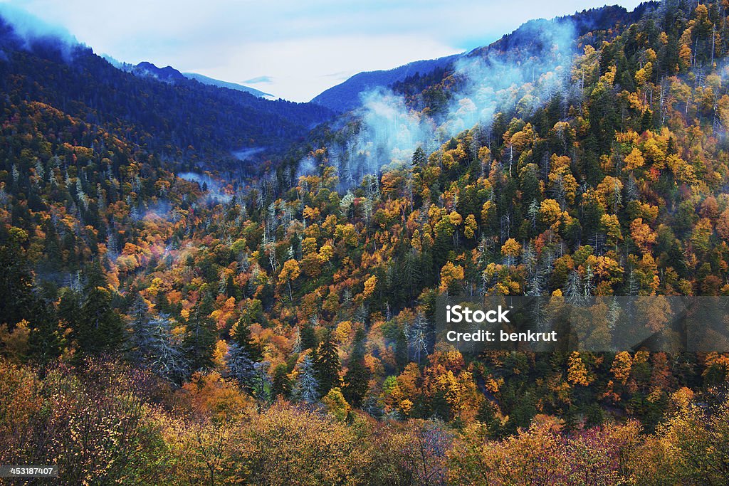 Rano w gór Smoky Mountains-kolorowe drzewa - Zbiór zdjęć royalty-free (Appalachy)