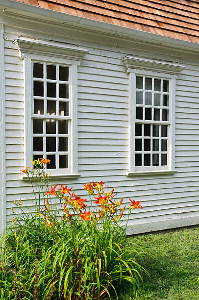 istock Day Lilies by the Window 453187919