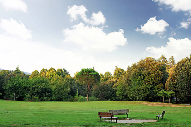 istock Bench in the park during early spring day 453188639