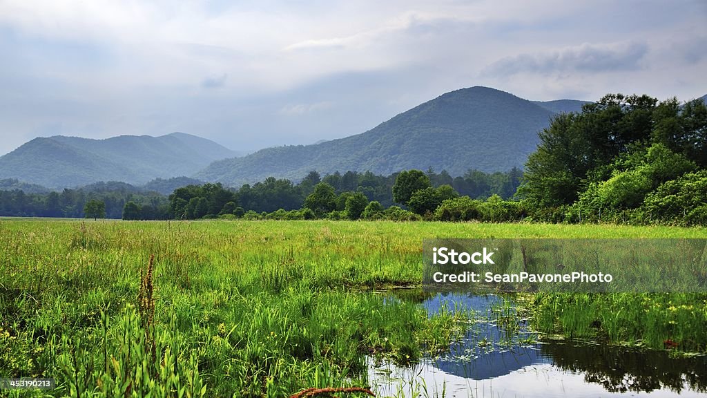 Cades Cove en la cadena montañosa Smoky Mountains - Foto de stock de Agricultura libre de derechos