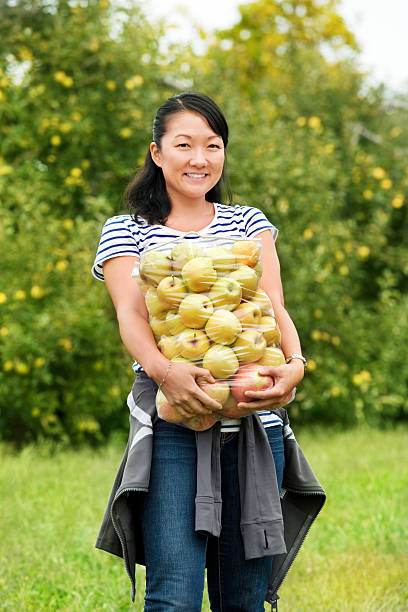 Young Asian woman picking apples