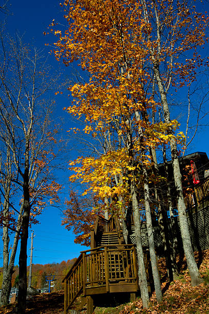 istock Rowhouse Porches in Autumn 453192179