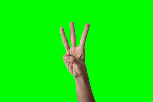 istock Business Woman hand 453192673