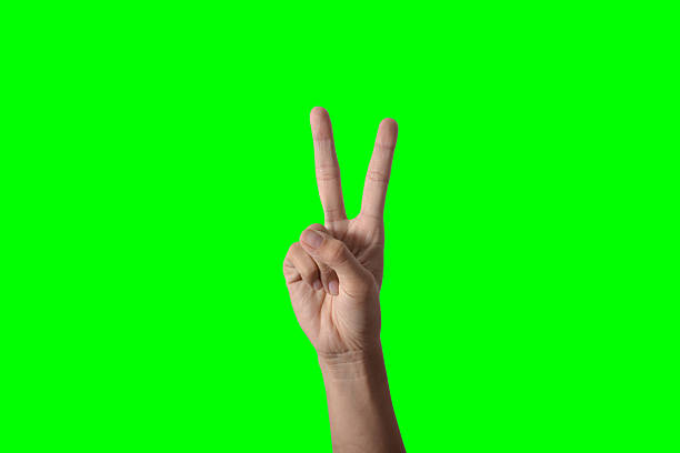 istock Business Woman hand 453192677