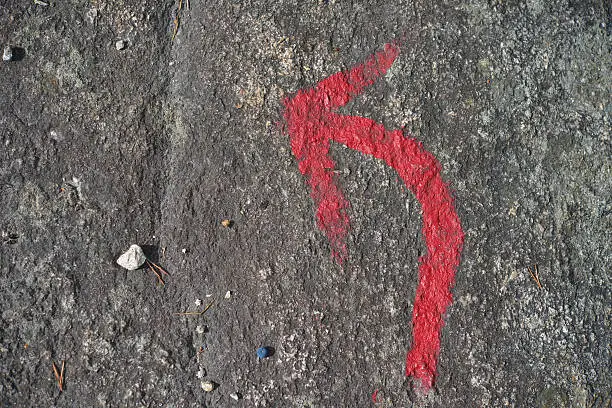 A red trail marker points to the left on this South Norwegian hiking trail. A single blueberry indicates the time of the year - late August