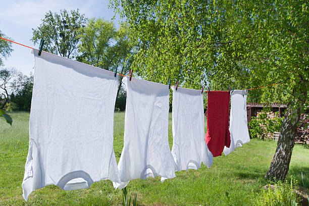 istock Clothesline with white and red t-shirts between trees 453193691
