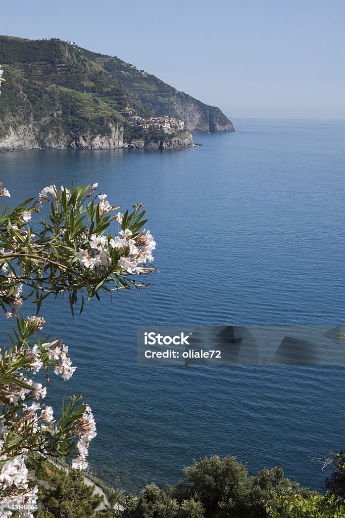 Manarola, Cinqueterre-Ligurien, Italien - Lizenzfrei Ansicht aus erhöhter Perspektive Stock-Foto