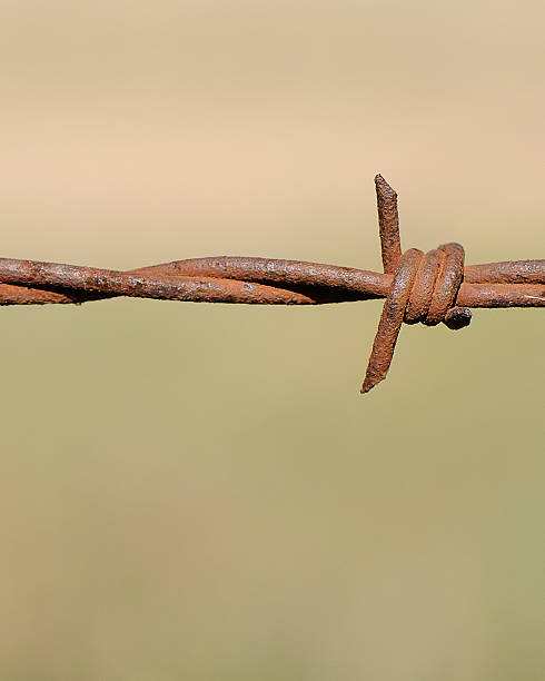 Barbed Wire Close-up stock photo