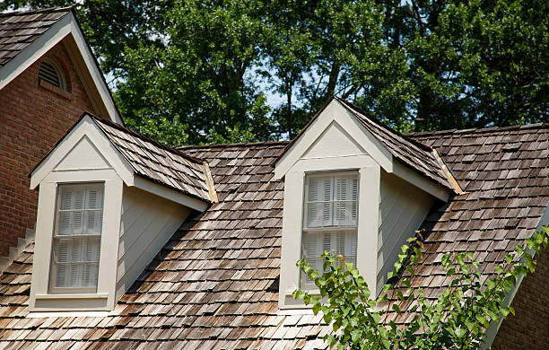 istock Dormes on Wood Shaker Roof 453197577