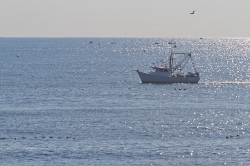 A commercial fishing trawler on the open sea