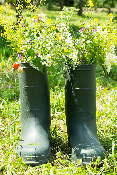istock Boot Flowerpot in garden 453199427